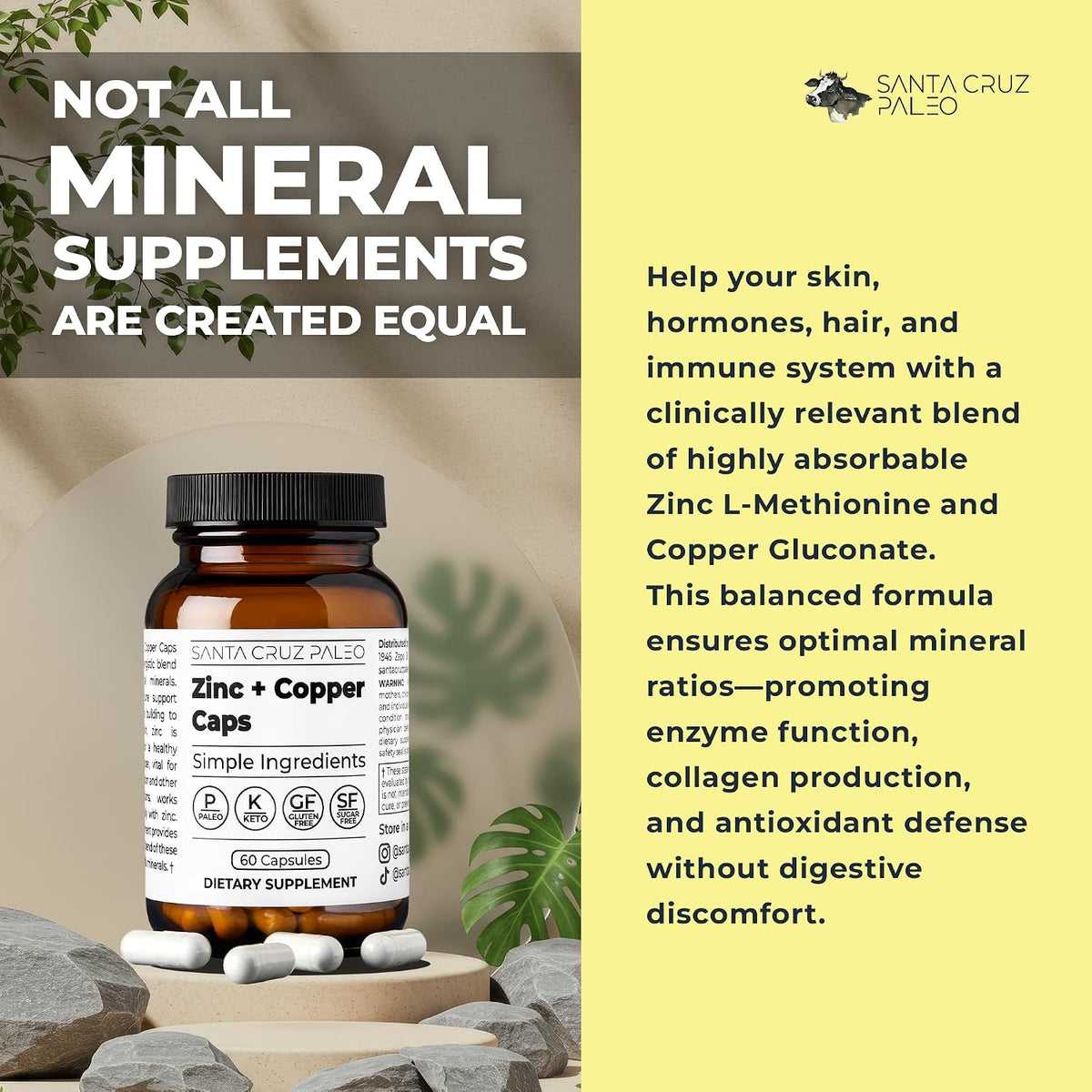 Santa Cruz Paleo, Zinc & Copper Mineral Supplement, High Absorption Formula, Zinc Supplement for Skin & Hair, L Methionine, Copper Gluconate, Trace Minerals, Gluten Free, Keto, Paleo, 60 Capsules