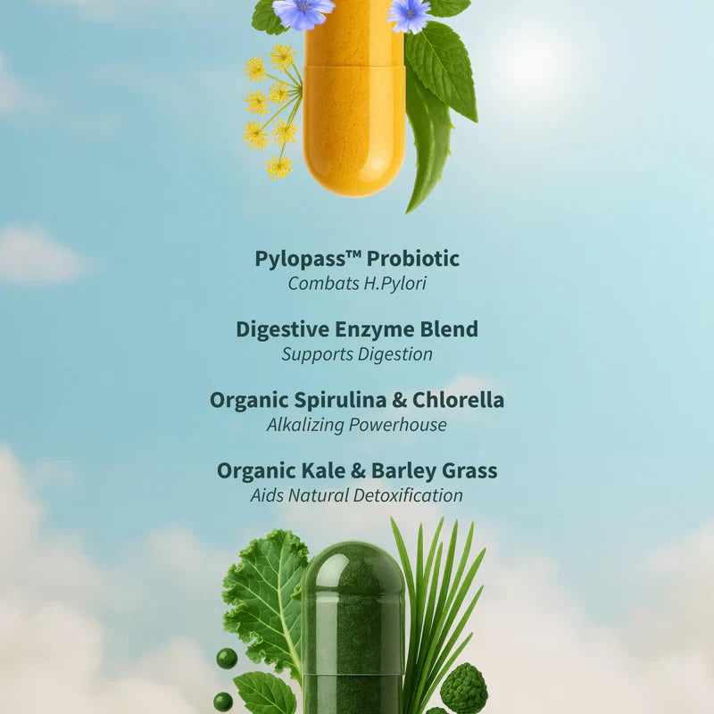 Gut Health Bundle，The 2-in-1 Gut Reset & Cellular Detox Duo: Spirulina & Chlorella Blend，Soothe &amp; Restore Gut Health